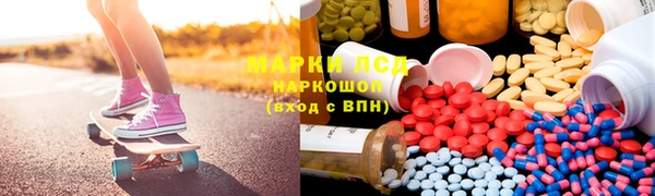 ПСИЛОЦИБИНОВЫЕ ГРИБЫ Алексин