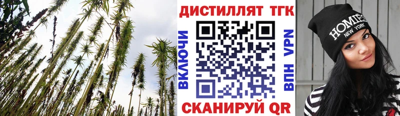 купить   Венёв  Дистиллят ТГК концентрат 