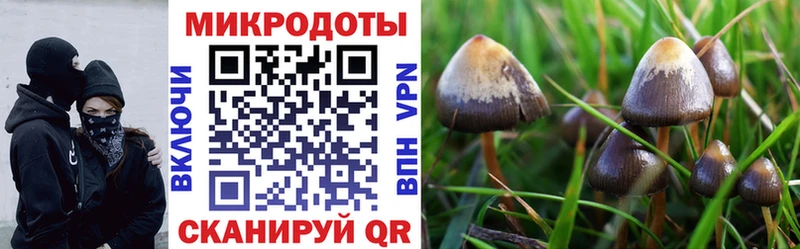 Псилоцибиновые грибы Magic Shrooms  это как зайти  Венёв 