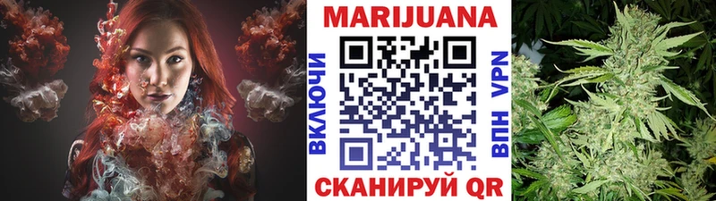 Конопля гибрид  Венёв 